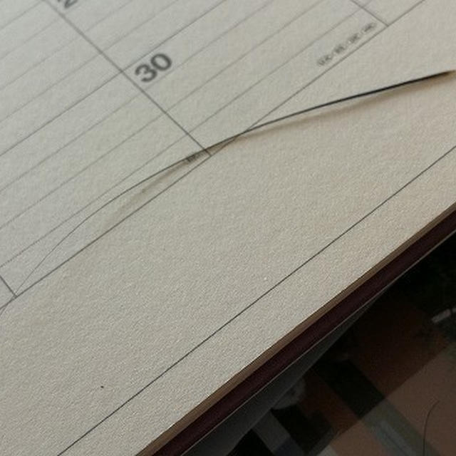 【小梅・さくら・桃之介通信】見つけると幸せ...