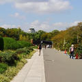 ごはん記事はお休み☆大阪城公園♪☆♪☆♪