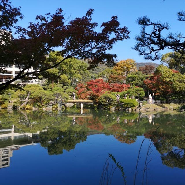 家族で相楽園に行きました