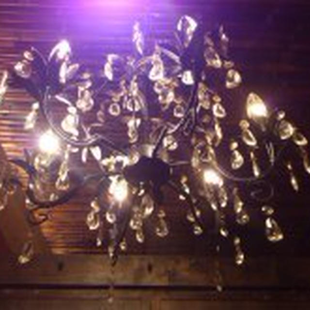 5/11 雨でどんより(´・ω・`)