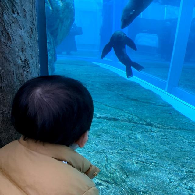 水族館最高〜
