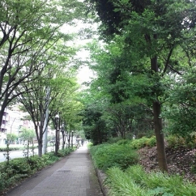 フレデリックバック展をふりかえる
