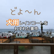 【犬旅あるある】雨で行動できず…レインコート忘れた日を楽しむ工夫