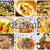秋飯2014 天高く馬肥ゆる秋　おすすめの秋のレシピをまとめてみました