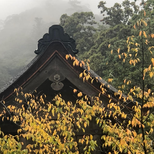 出雲大社と出雲そば