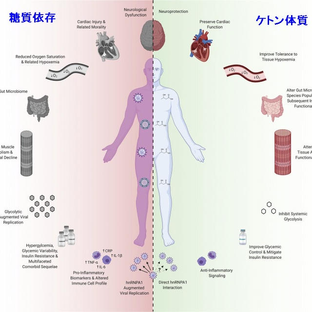 ケトン 体 匂い