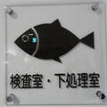 小名浜魚市場～福島県の取り組み～