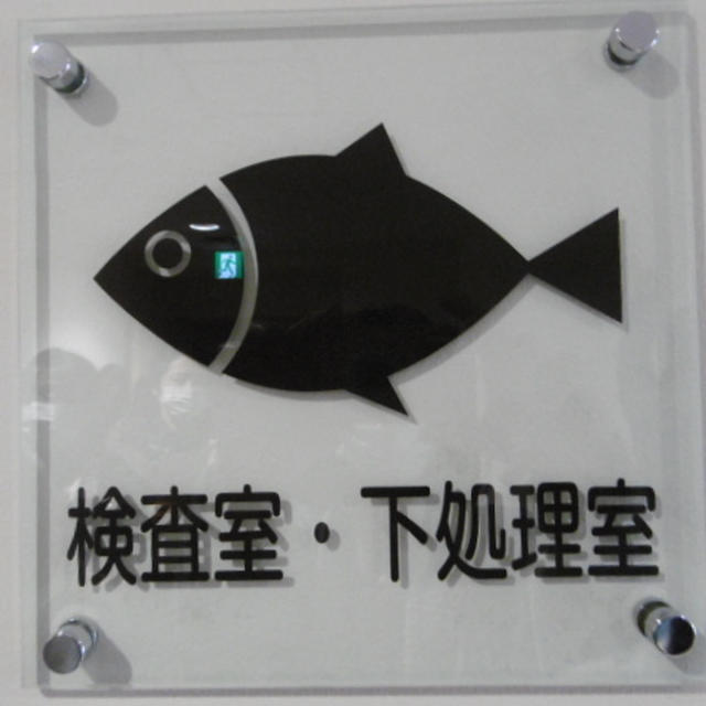 小名浜魚市場～福島県の取り組み～