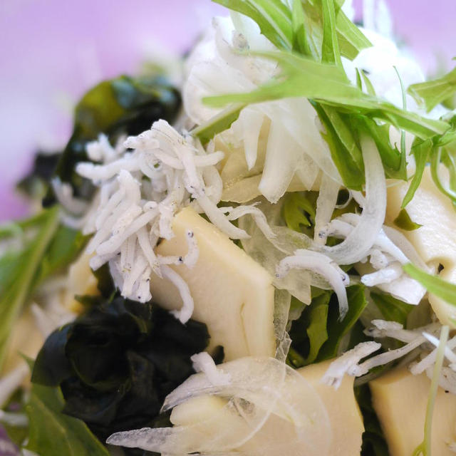綺麗レシピ⑦若竹しらす新玉葱のサラダ　と　ミートプレス