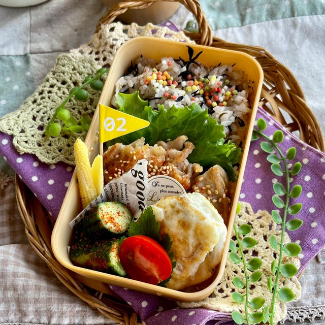 ＊この夏欲しい！！保冷弁当箱＊