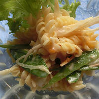 畑の野菜と早ゆでパスタのサラダ〈モニター〉