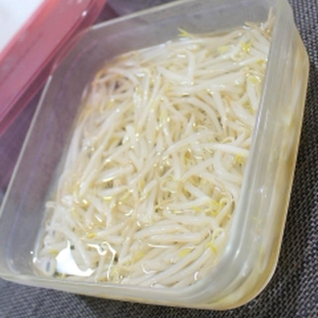 しゃきしゃきが美味しい「もや酢」