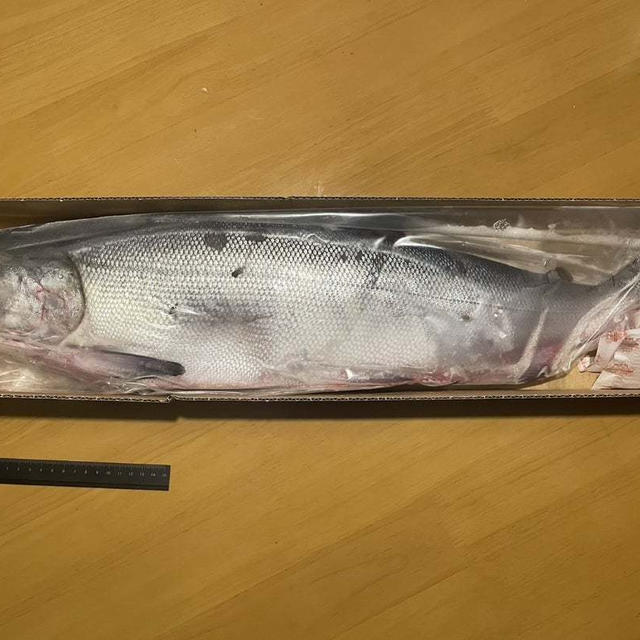 おうちごはん　〜巨大鮭との格闘〜