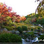 ☆2010 晩秋の京都⑧：退蔵院☆