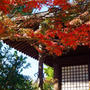 紅葉狩り♪