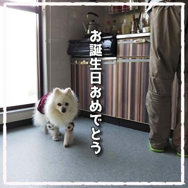 21歳のお誕生日おめでとう
