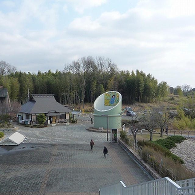 取 公園 竹