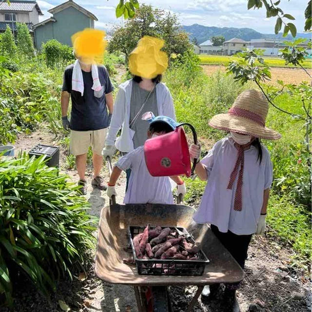 芋掘りは楽しいね