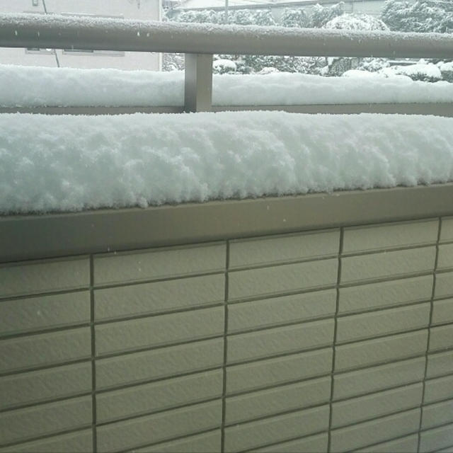 あの…雪が凄くて…
