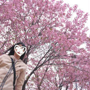 GW後半＊お花見散歩②