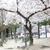 4月が終わっちゃう！(終わってた)