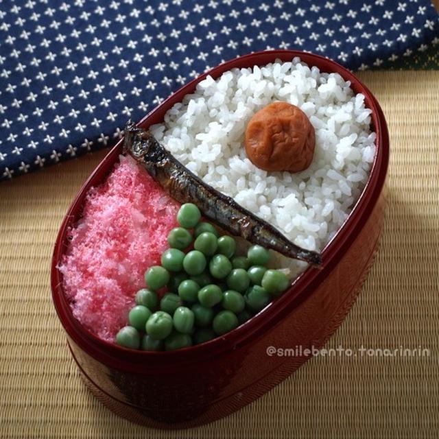 サツキのお弁当