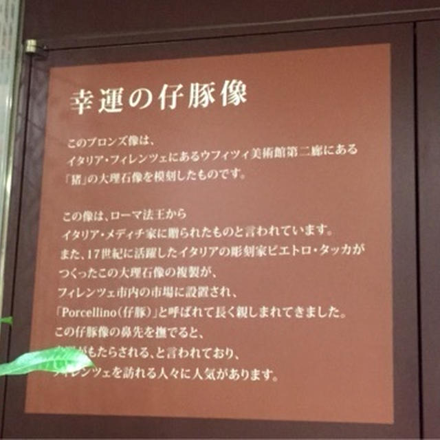 東京駅の幸運