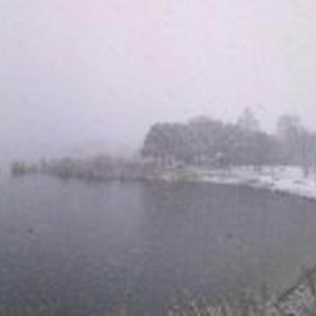 2013.1.18　我家は積雪５㎝！