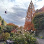 布引ハーブ園に紅葉を見に行きました