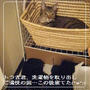 しげるnaマフィン　と　ボビーnaマフィン