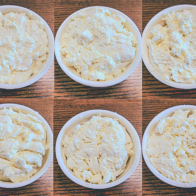 40℃〜 カッテージチーズ 温度比較実験
