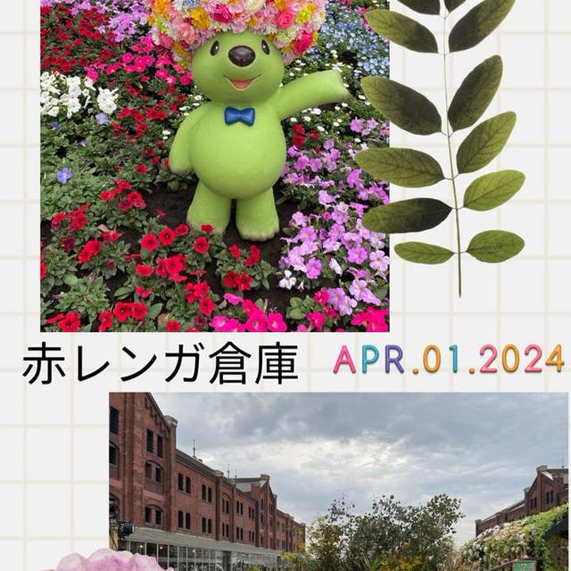 【お花見散策・2024】赤レンガ倉庫～花々に囲まれる♪フラワーガーデン2024