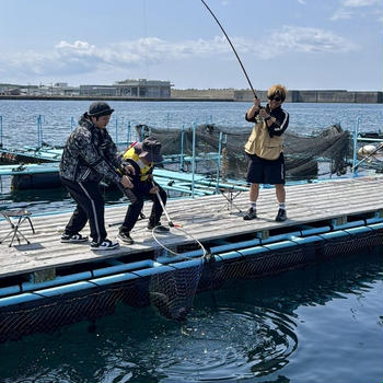 大人も子どもも楽しい海上釣り堀体験｜みうら海王（2025年GW）