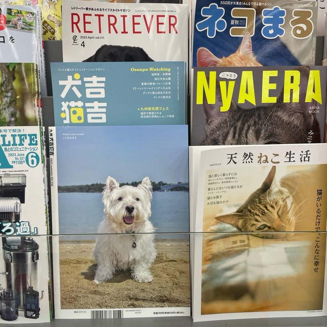 書店で見つけた
