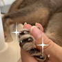 【動画】紳士のたしなみ