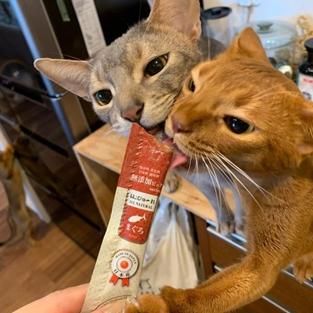 とのひめに、おやつを♪