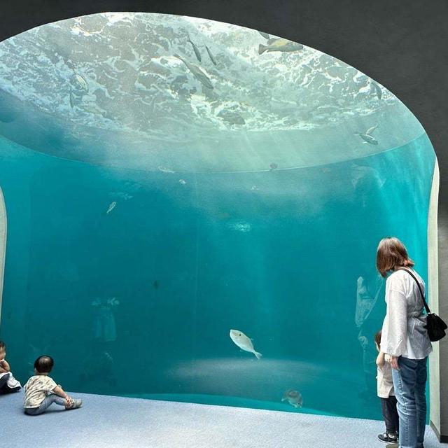 香川旅行:息を飲む美しさの四国水族館を詳しくレポします！