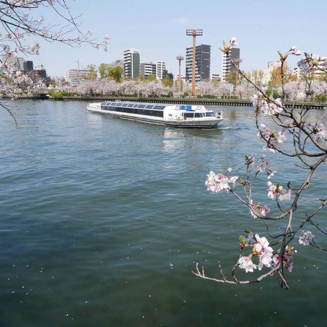 桜之宮、大川沿いの散策#最近撮った写真は