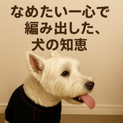 【スキンケア日記】なめたい一心で編み出した犬の知恵