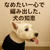 【スキンケア日記】なめたい一心で編み出した犬の知恵