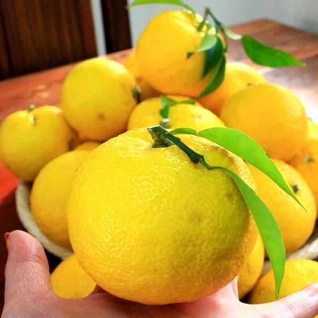 ◆定休日は柚子ジャム・柚子味噌・ポン酢つくり～緩やか糖質制限中