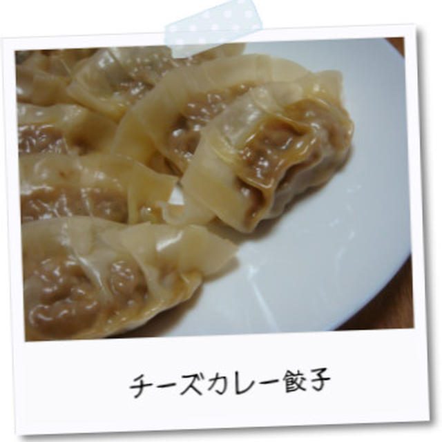 カレーのリメイク餃子