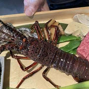 明水然・楽／記念日やお祝いにピッタリな完全予約制鉄板焼きで伊勢海老鮑ステーキ堪能