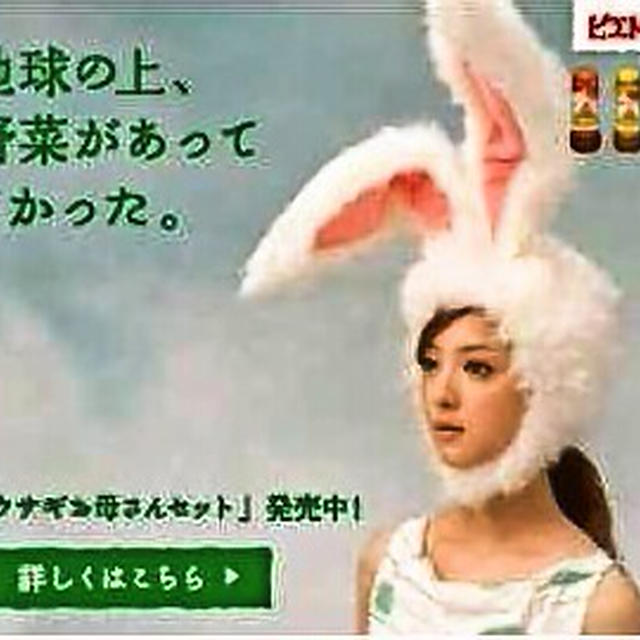 佐々木希ちゃんの「ウサギお母さんセット」