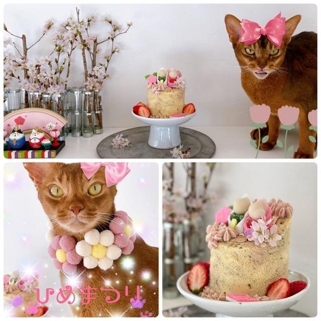 ひなまつり、ひめまつり、ロールケーキ