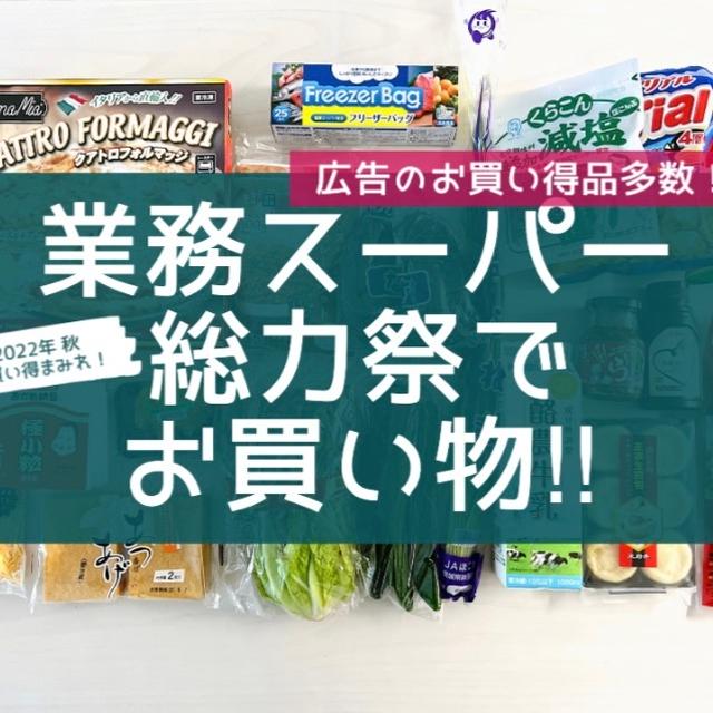 ホームセンターに＼コストコがっ‼︎／ と 【業スー】総力祭でお買い物‼︎