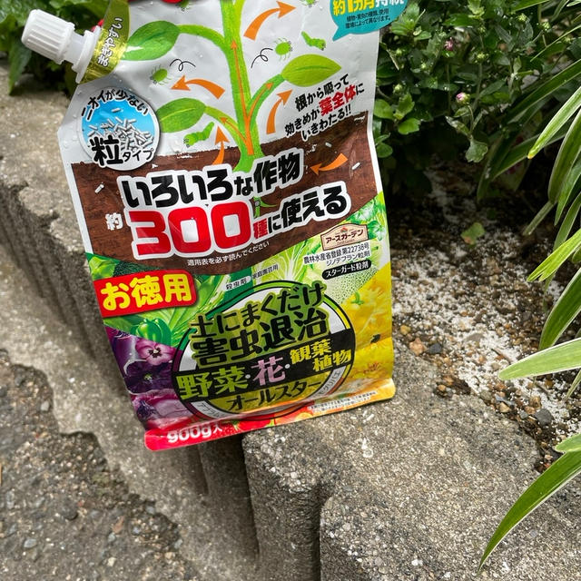 最近始めた「朝集中家事」