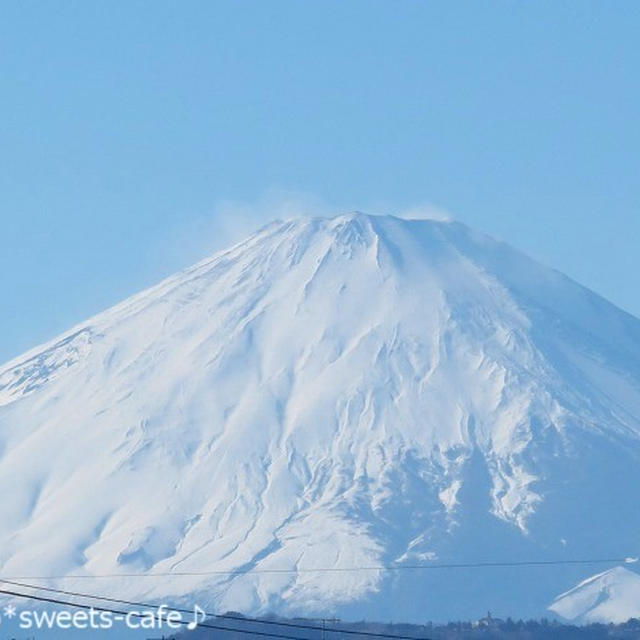 2月23日は富士山の日＊河津桜が満開