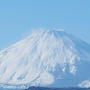 2月23日は富士山の日＊河津桜が満開