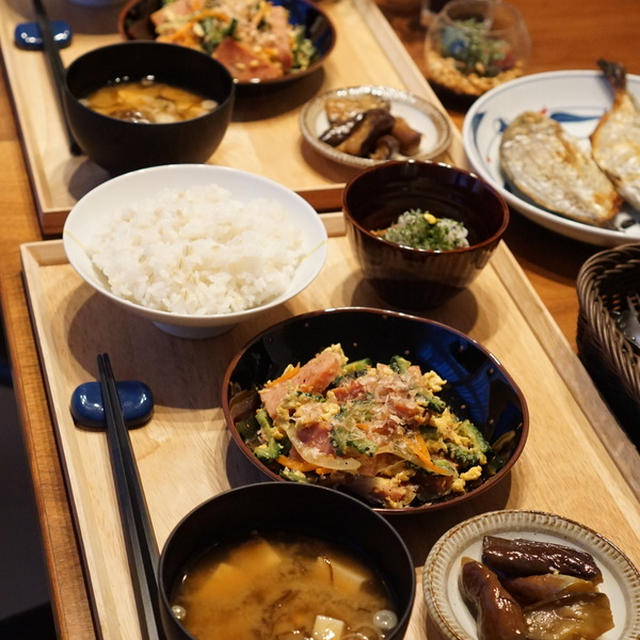 昨日の夕食と今日のパパ弁当～血は争えない？